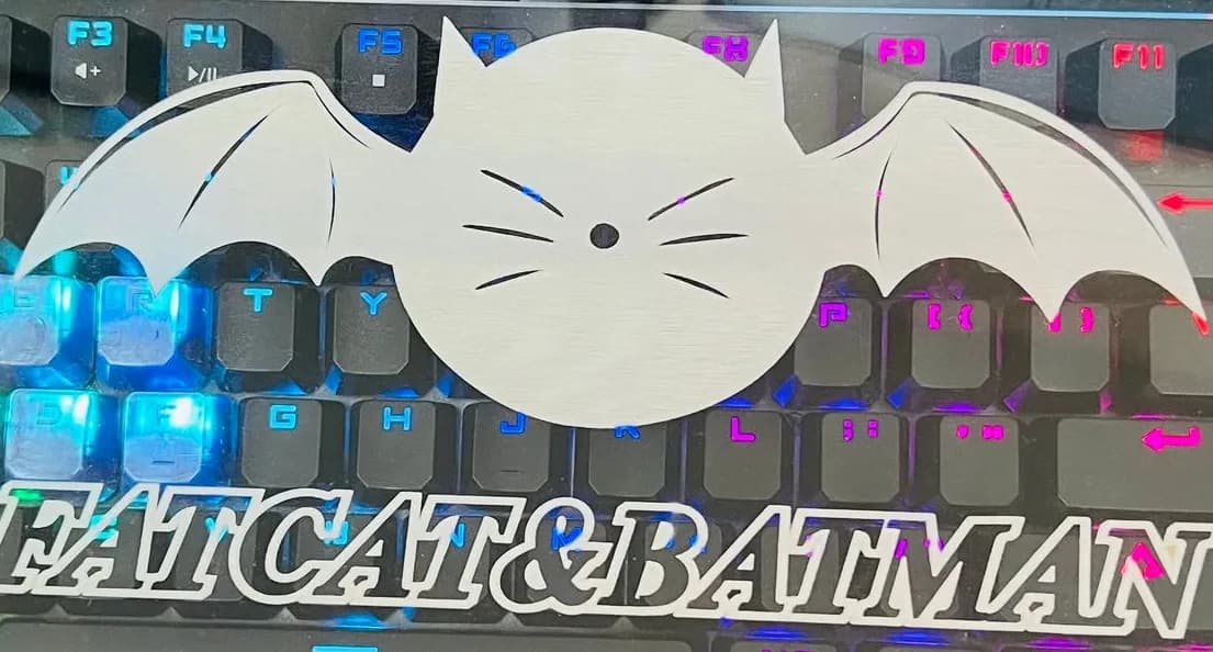 Detail of the frosted white cat face with bat wings and the outlined FATCAT&BATMAN name on the acrylic cover
