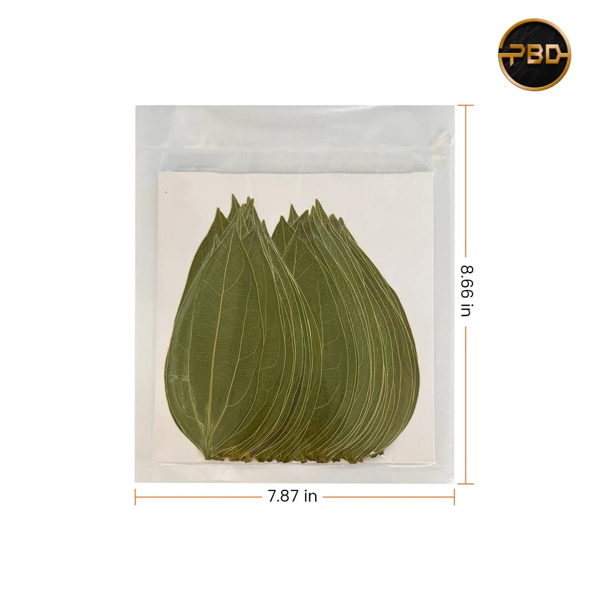 AlgoLaser Cinnamon Leaf for Engraving (50 pcs)