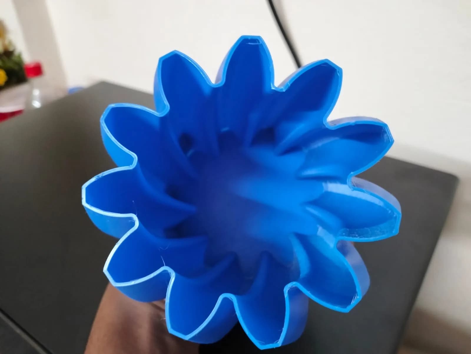 Looking down into the blue vase: a thin wall following a twelve-point star outline