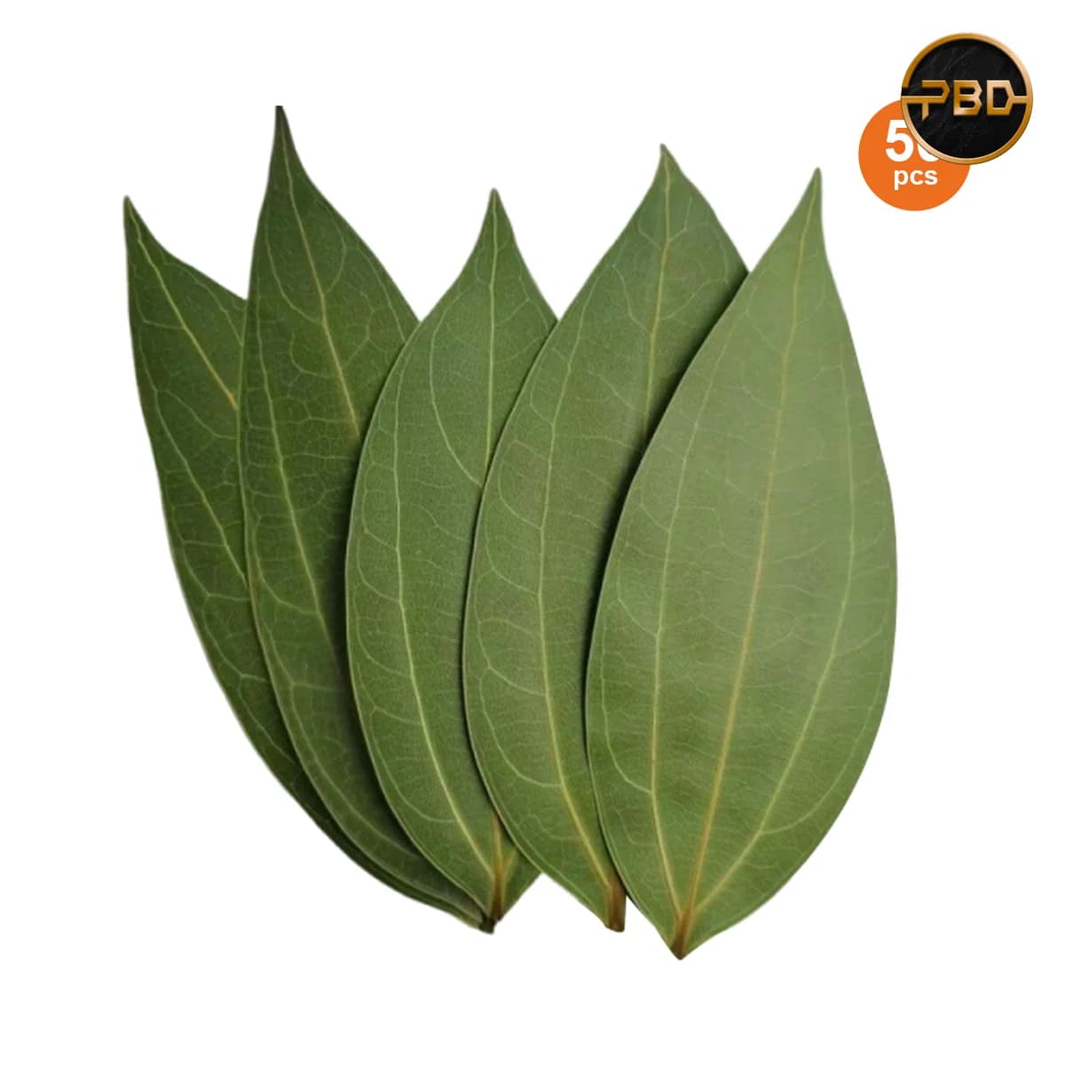 AlgoLaser Cinnamon Leaf for Engraving (50 pcs)
